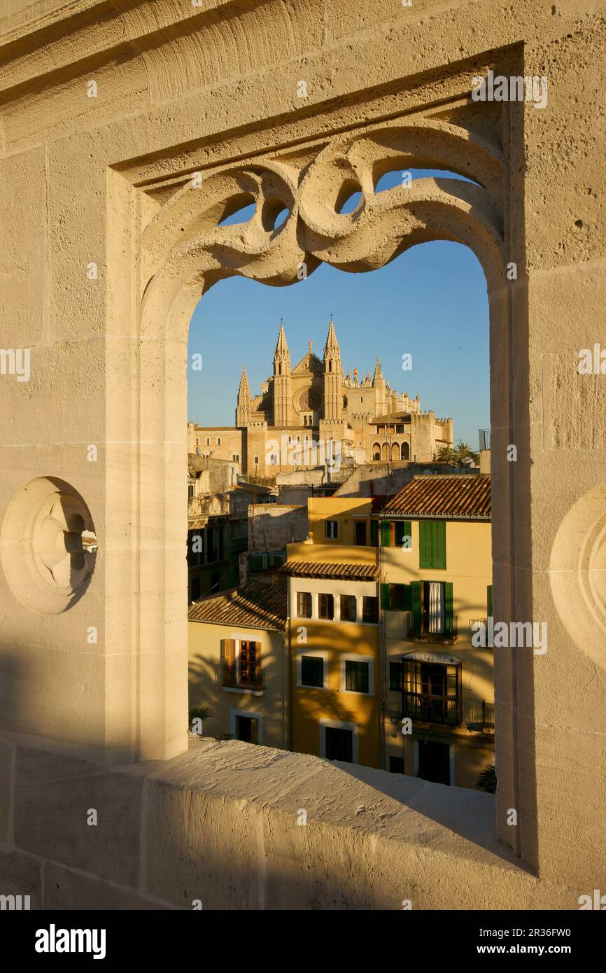 La Seo desde la lonja.La Llotja , siglo XV..Palma Mallorca.Islas Baleares. España. Foto Stock