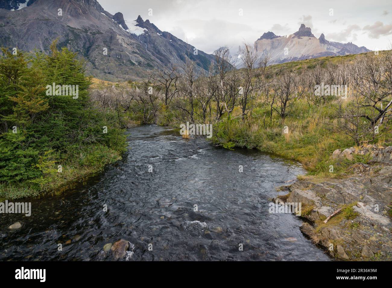 Trekking W, Parque nacional Torres del Paine,Sistema nacional de Áreas Silvestres Protegidas del Estado de Chile.Patagonia, República de Chile,América Del Sur. Foto Stock