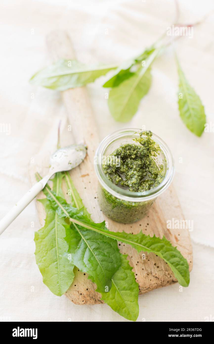 Pesto di dente di leone fatto in casa in un vaso di vetro con foglie di dente di leone fresco Foto Stock