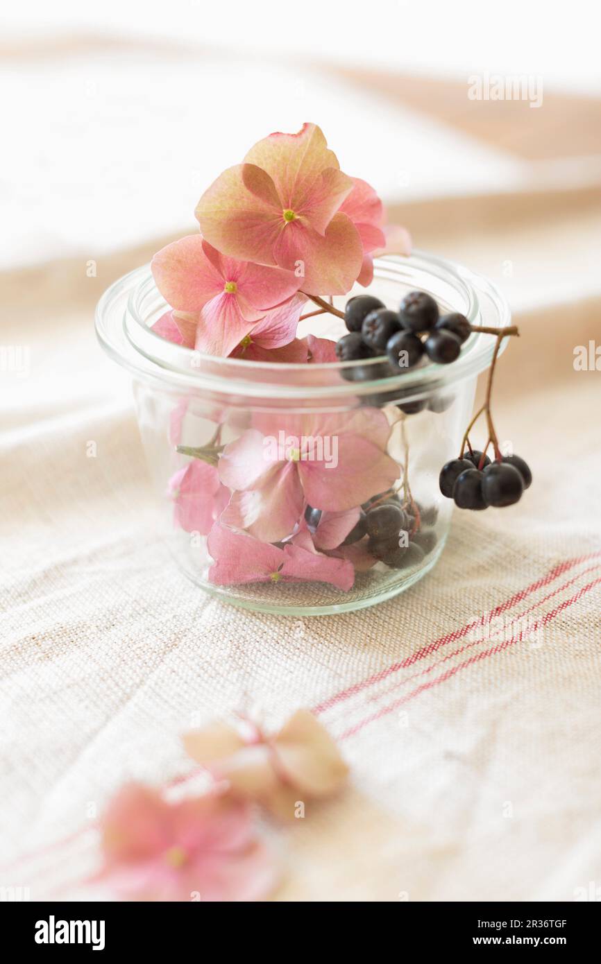 Chokebaces e fiori di hydrangea utilizzati come decorazioni in un piccolo vaso di conservazione Foto Stock