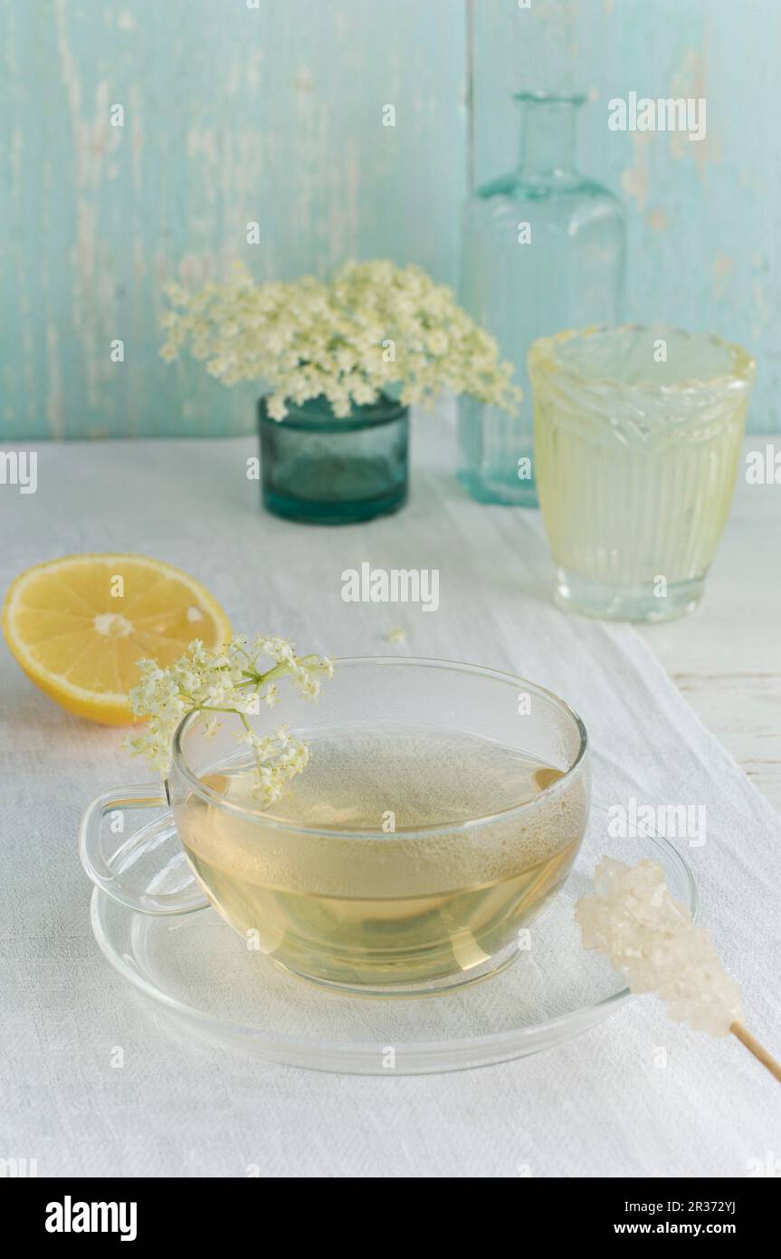 Tè di fiori di sambuco in una tazza, fiori di sambuco, limone e un bastone di caramelle di roccia Foto Stock