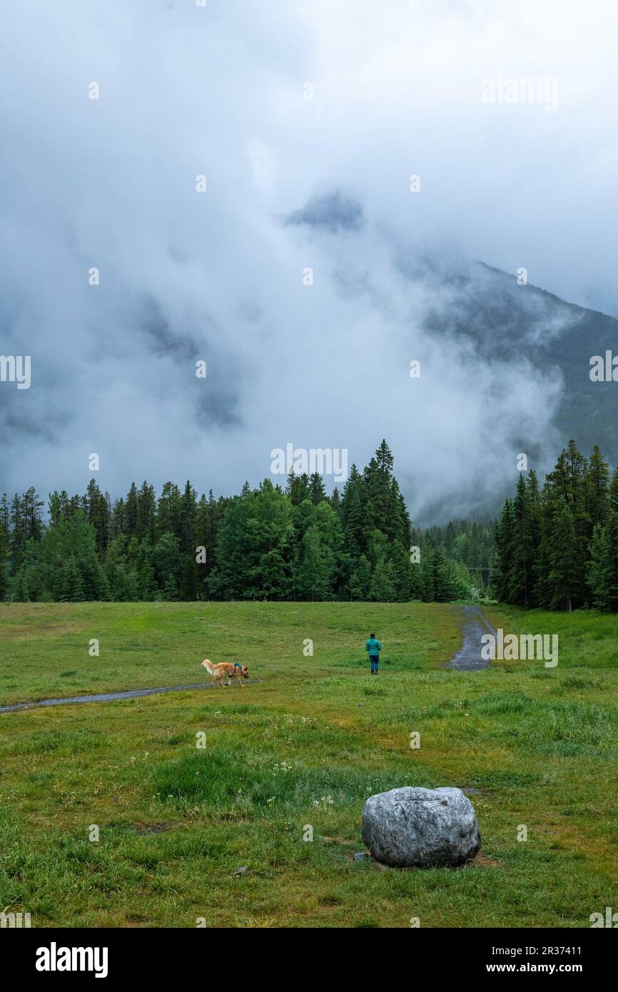 Un uomo che cammina in un campo verde con il suo cane con montagne nebbie e alberi sullo sfondo Foto Stock