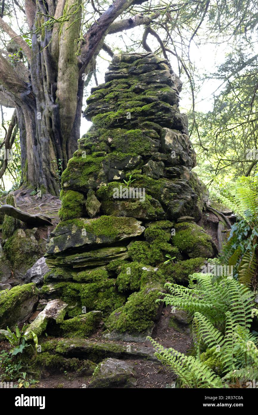 Una grande pila di rocce muschiose sul terreno del castello di Blarney in Irlanda. Foto Stock