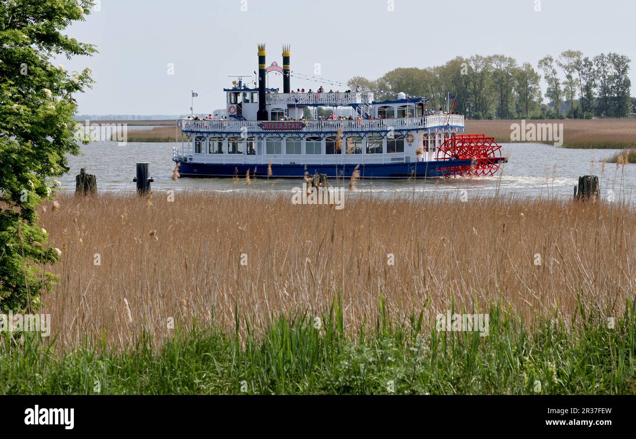 Zingst, Germania. 22nd maggio, 2023. La nave passeggeri MS 'River Star' è in corso sul Meiningenstrom. Attualmente, il fairway nell'unico collegamento tra il Mar Baltico e la catena Darß-Zingster Bodden viene dragato. Il lavoro nel Meiningenstrom e a Prerow richiederà diverse settimane affinché i pescatori, gli escursionisti e le barche da escursione possano passare senza ostacoli di nuovo. Credit: Bernd Wüstneck/dpa/Alamy Live News Foto Stock
