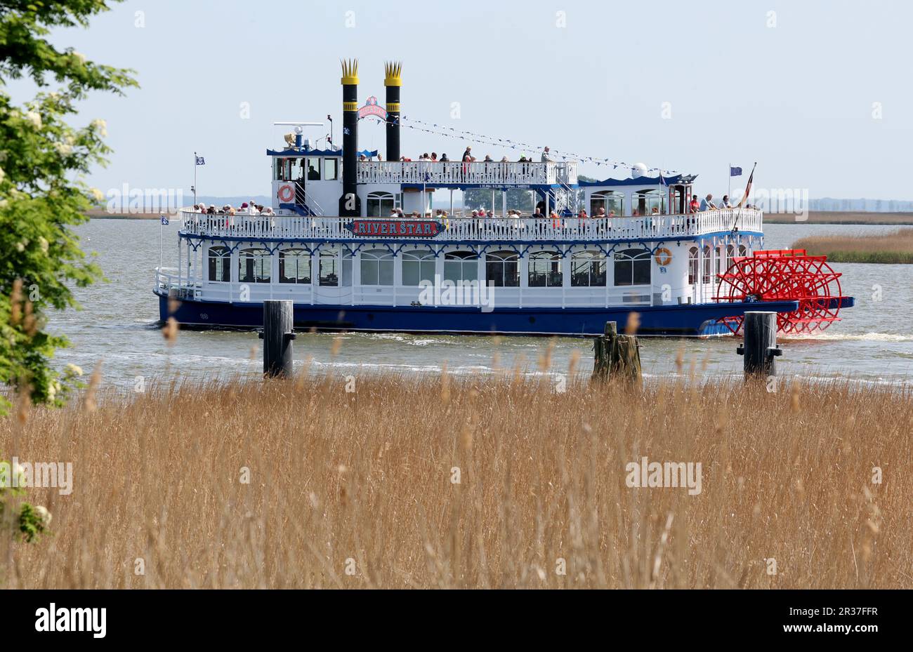 Zingst, Germania. 22nd maggio, 2023. La nave passeggeri MS 'River Star' è in corso sul Meiningenstrom. Attualmente, il fairway nell'unico collegamento tra il Mar Baltico e la catena Darß-Zingster Bodden viene dragato. Il lavoro nel Meiningenstrom e a Prerow richiederà diverse settimane affinché i pescatori, gli escursionisti e le barche da escursione possano passare senza ostacoli di nuovo. Credit: Bernd Wüstneck/dpa/Alamy Live News Foto Stock