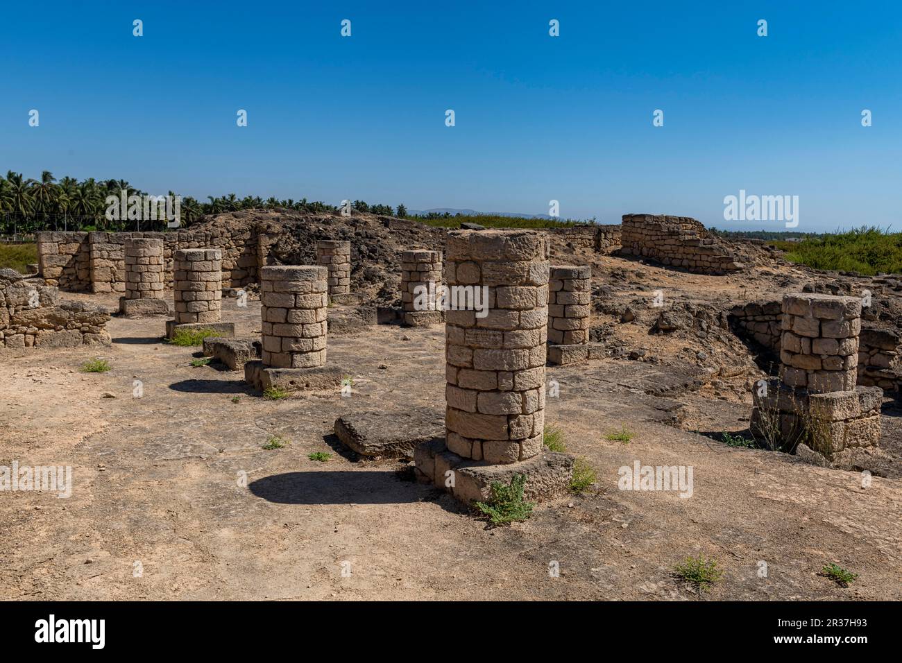 Sito UNESCO al-Baleed Parco Archeologico franco porto commerciale, Salalah, Oman Foto Stock