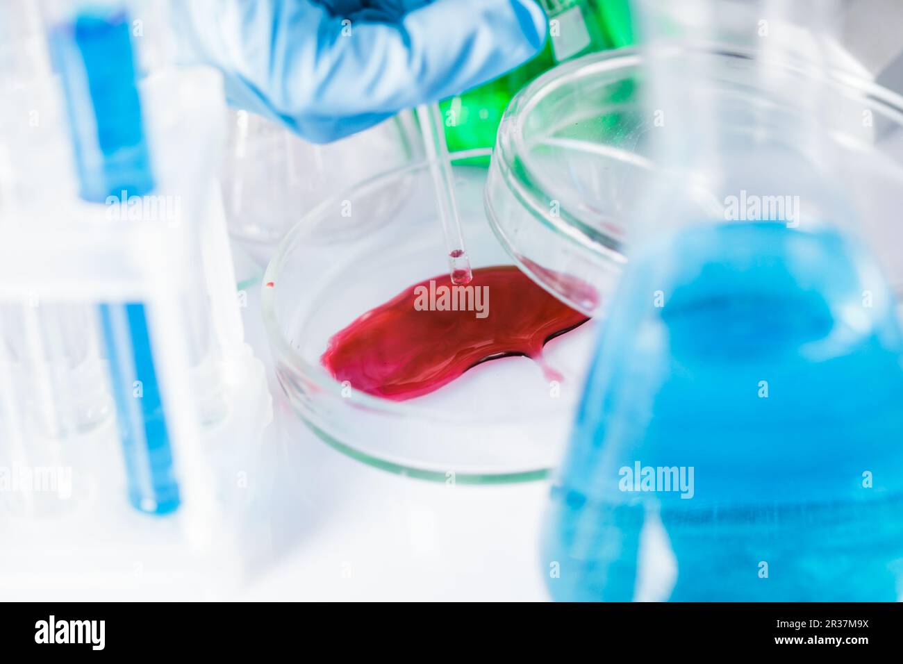 La diffusione close up Foto Stock