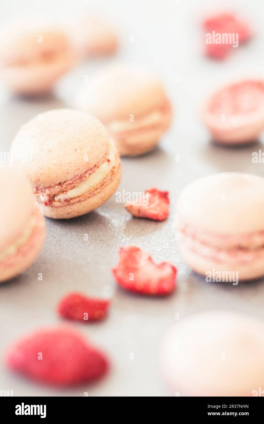 Fragole essiccate macarons con glassa bianca Foto Stock