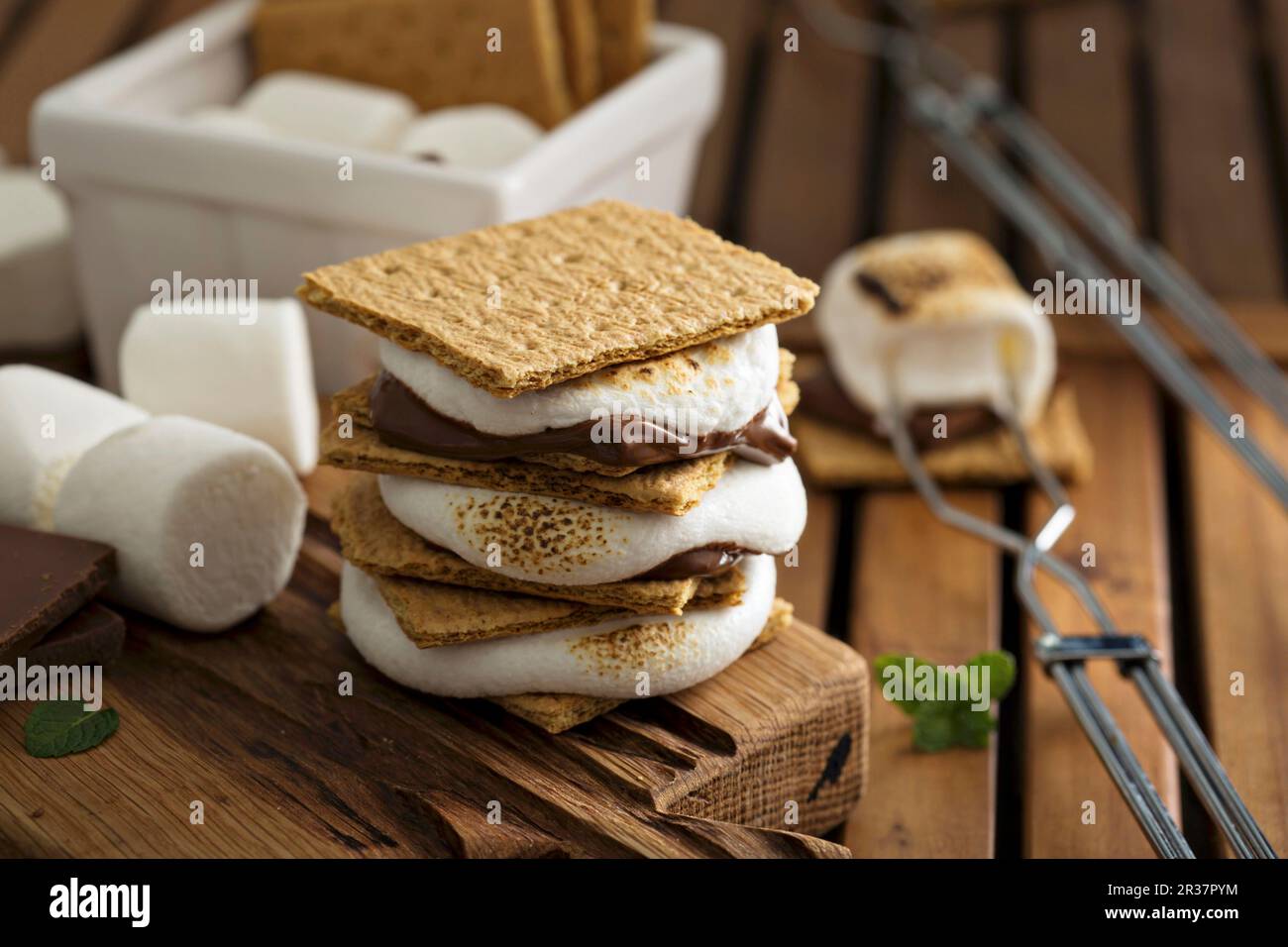 Il dessert da picnic è ricco di marshmallow, cracker graham e cioccolato Foto Stock