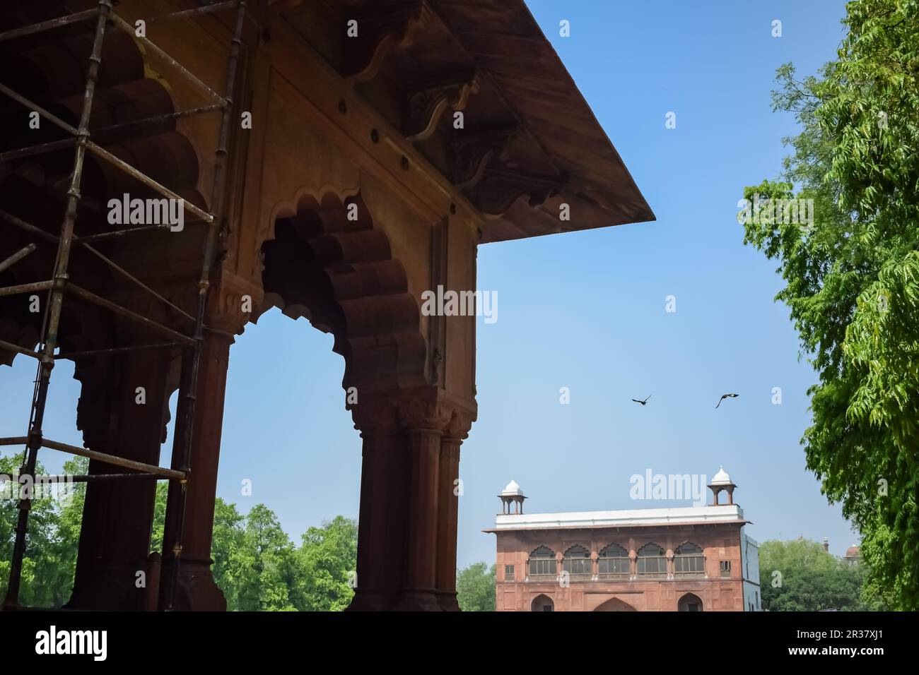 Dettagli architettonici di Lal Qila - Forte Rosso situato nella Vecchia Delhi, India, Visualizza all'interno Delhi Forte Rosso il famoso punto di riferimento indiano Foto Stock