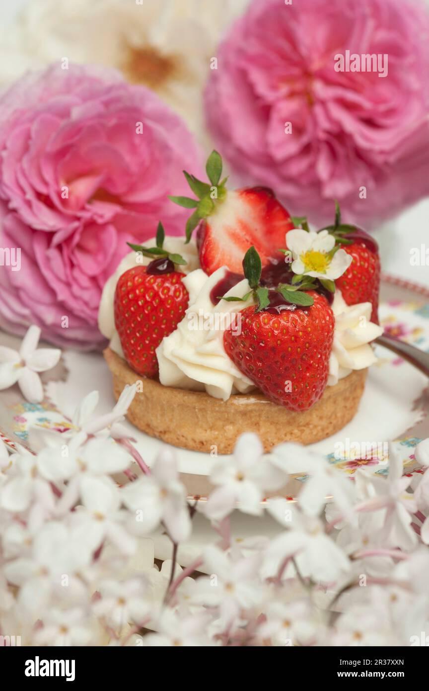 Torta di fragole con crema circondata da rose estive e fiori di gelsomino Foto Stock