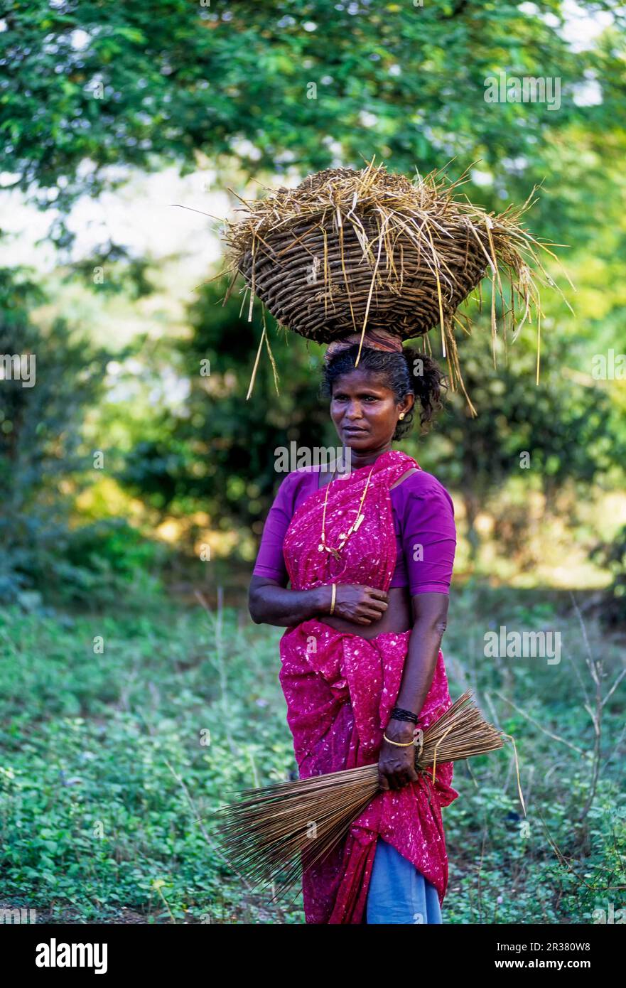 Una donna del villaggio che trasporta un cestino pieno di concime organico sulla testa con il bastone della scopa del cocco sulla mano, Tamil Nadu, India del sud, India, Asia Foto Stock
