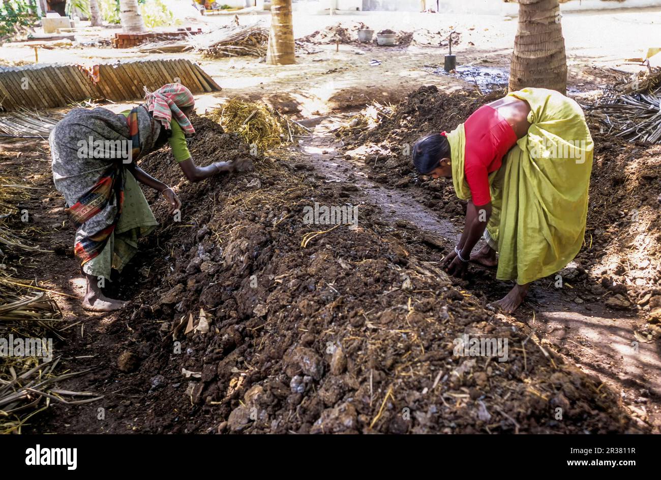 Labourers in un Vermi compost Yard Agricoltura biologica India Foto Stock