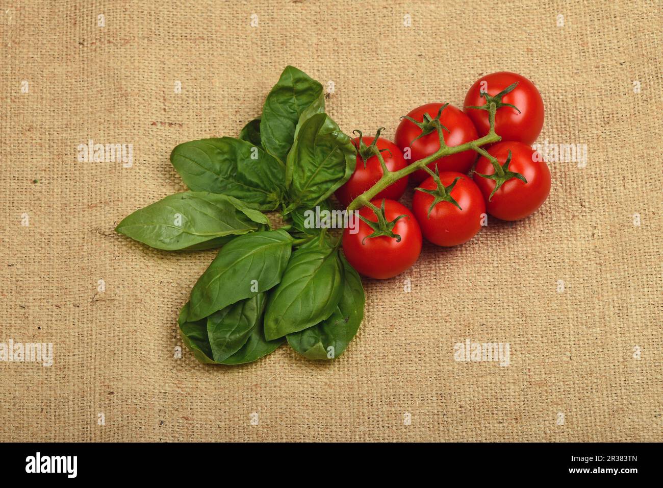 Mazzetto di pomodoro ciliegia e foglie di basilico su tela Foto Stock