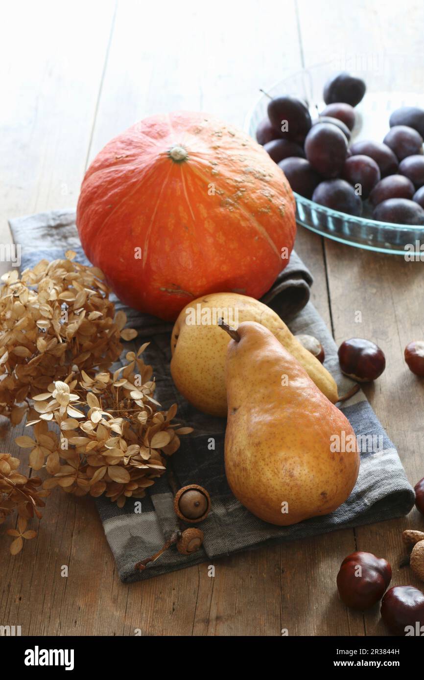 Pere autunnali, zucche, prugne e castagne raccolte di recente, con fiori di ortensia essiccati su una tavola rustica di legno Foto Stock