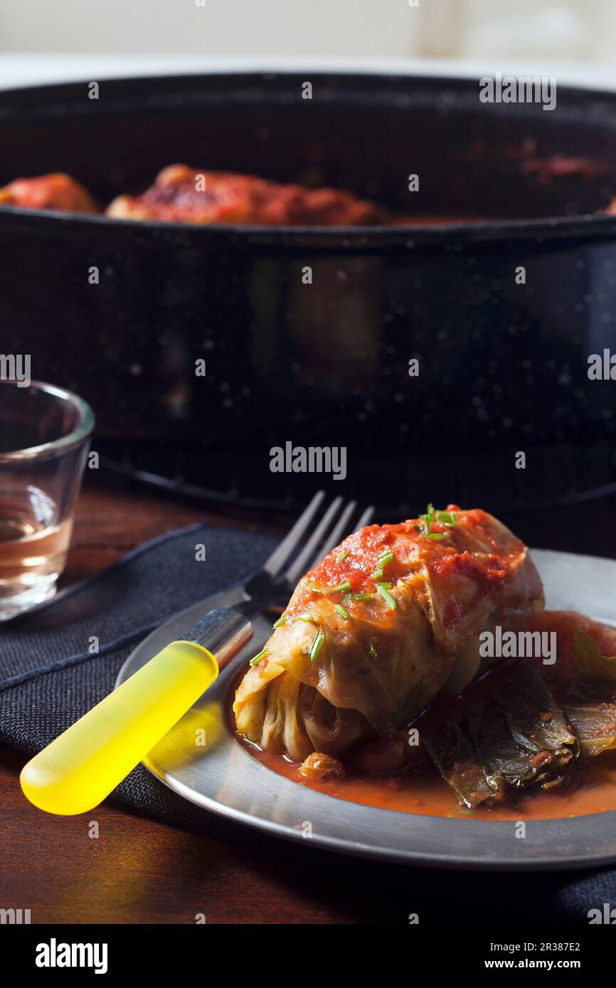 Parcelle di cavolo farcite con salsa di pomodoro in purea Foto Stock