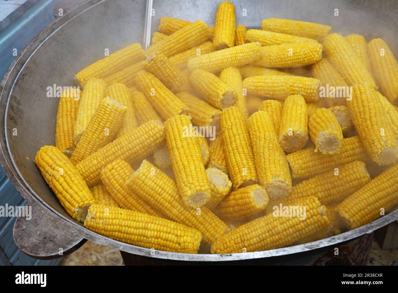 Chiudere fino in ebollizione tutoli di mais dolce Foto Stock