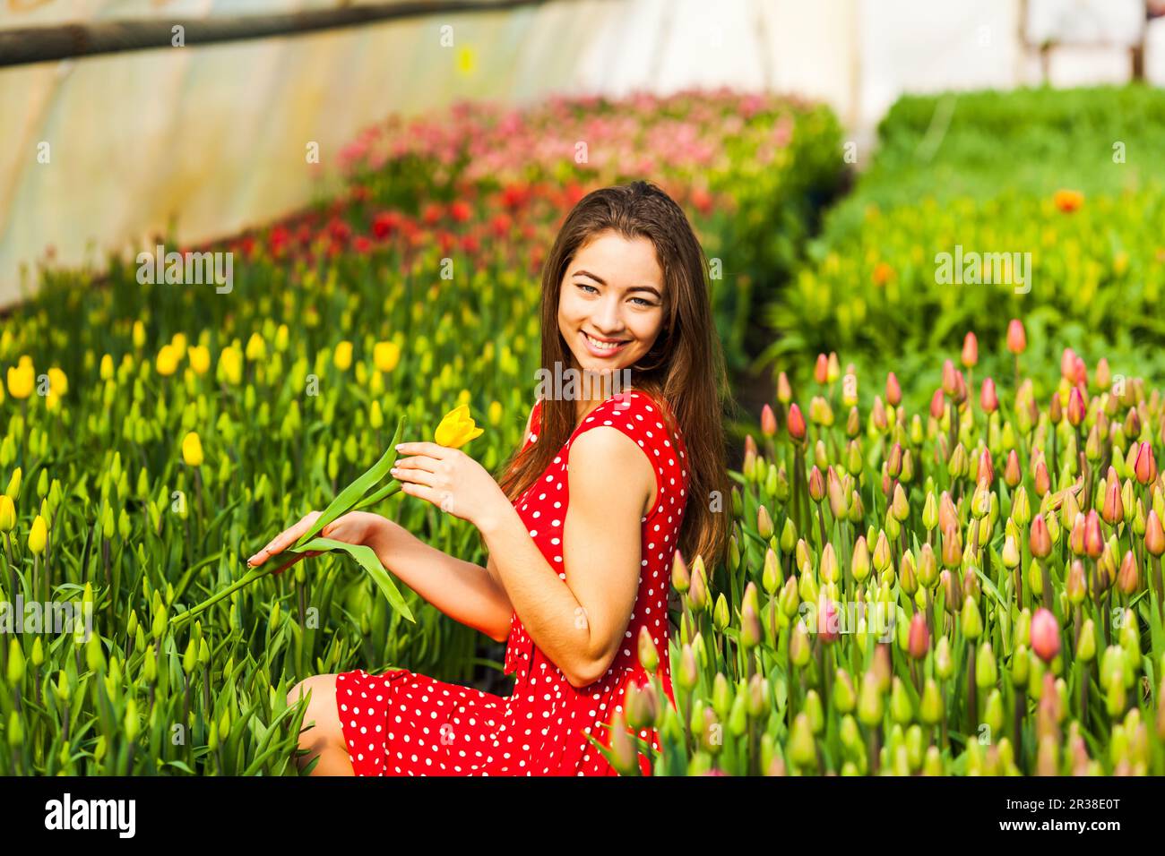 Bella giovane donna Foto Stock