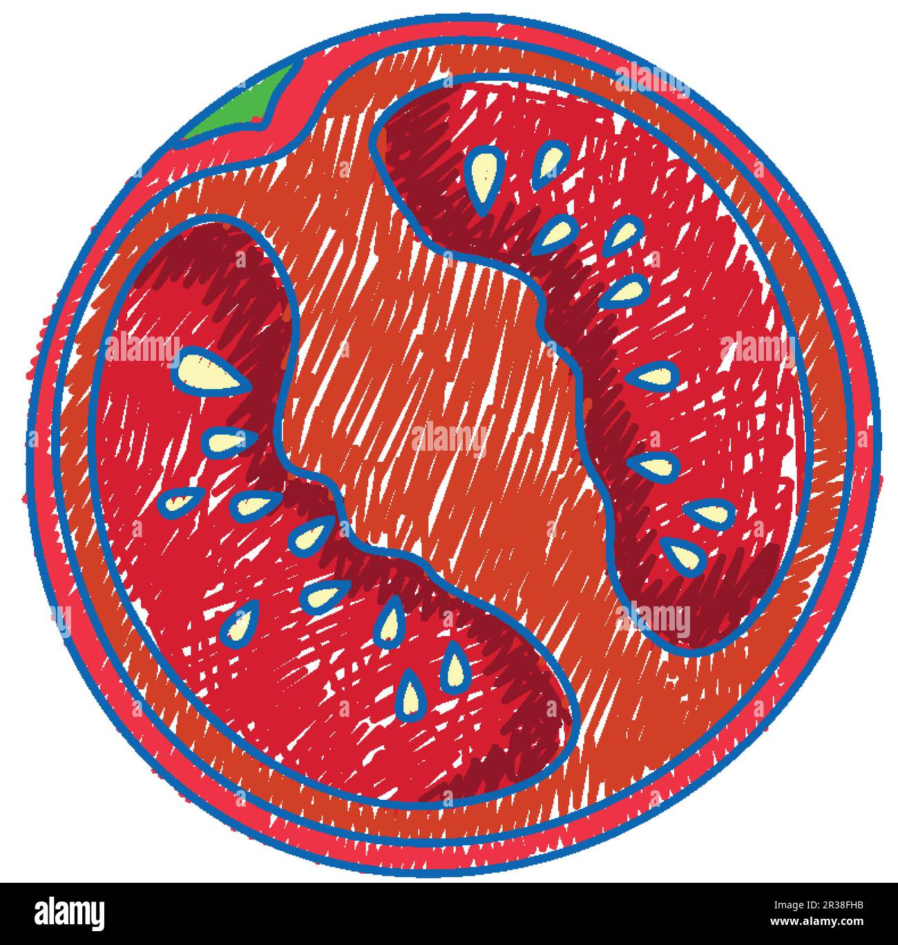 Illustrazione dello stile dello scarabocchio bambino colore della matita del pomodoro Illustrazione Vettoriale