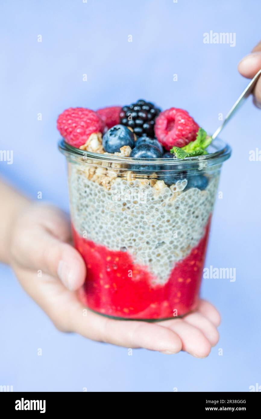 Chiapudding con frutti di bosco e cereali Foto Stock