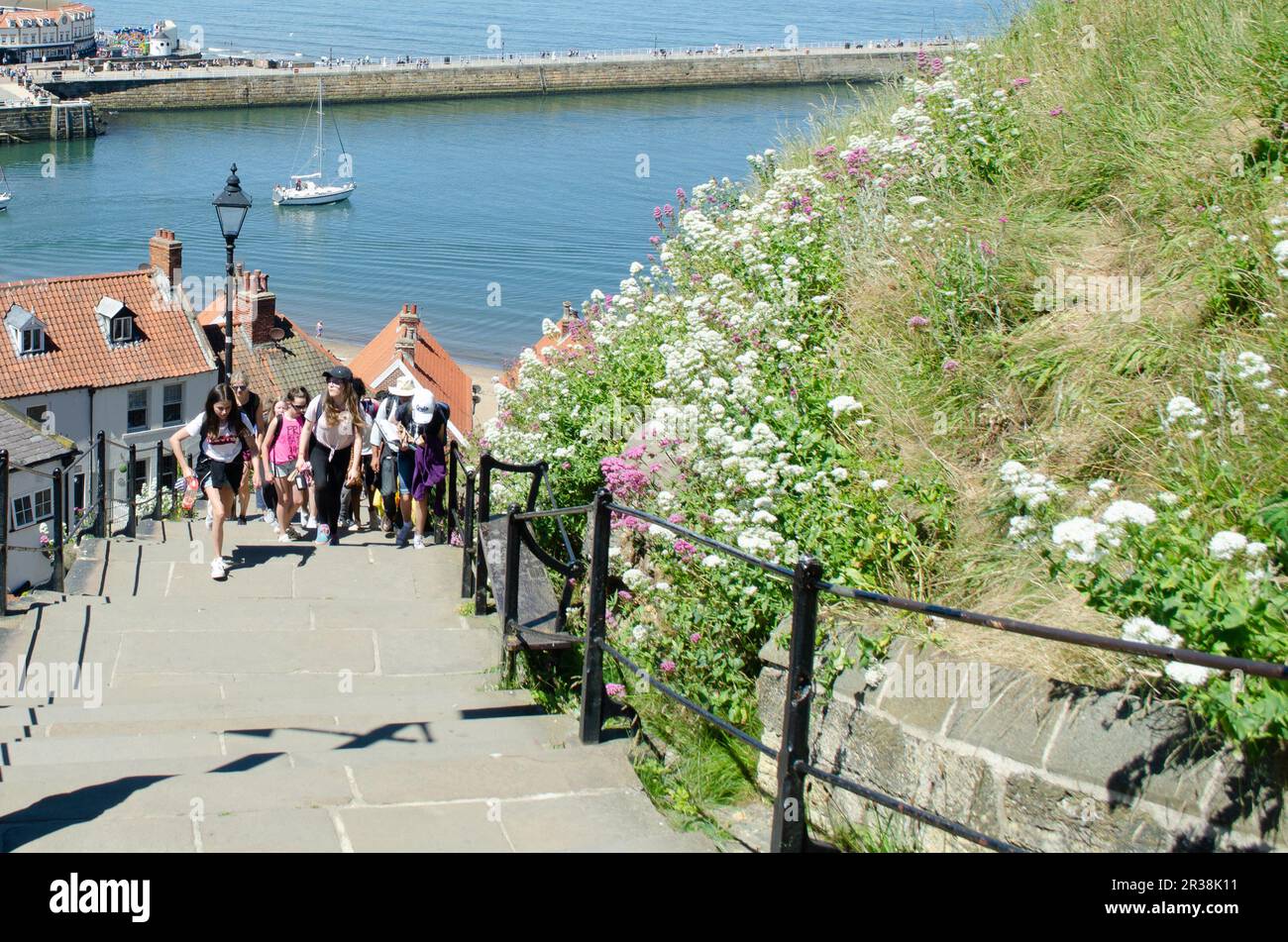 Giovani turisti che salgono 199 scale per Whitby Abbey Foto Stock