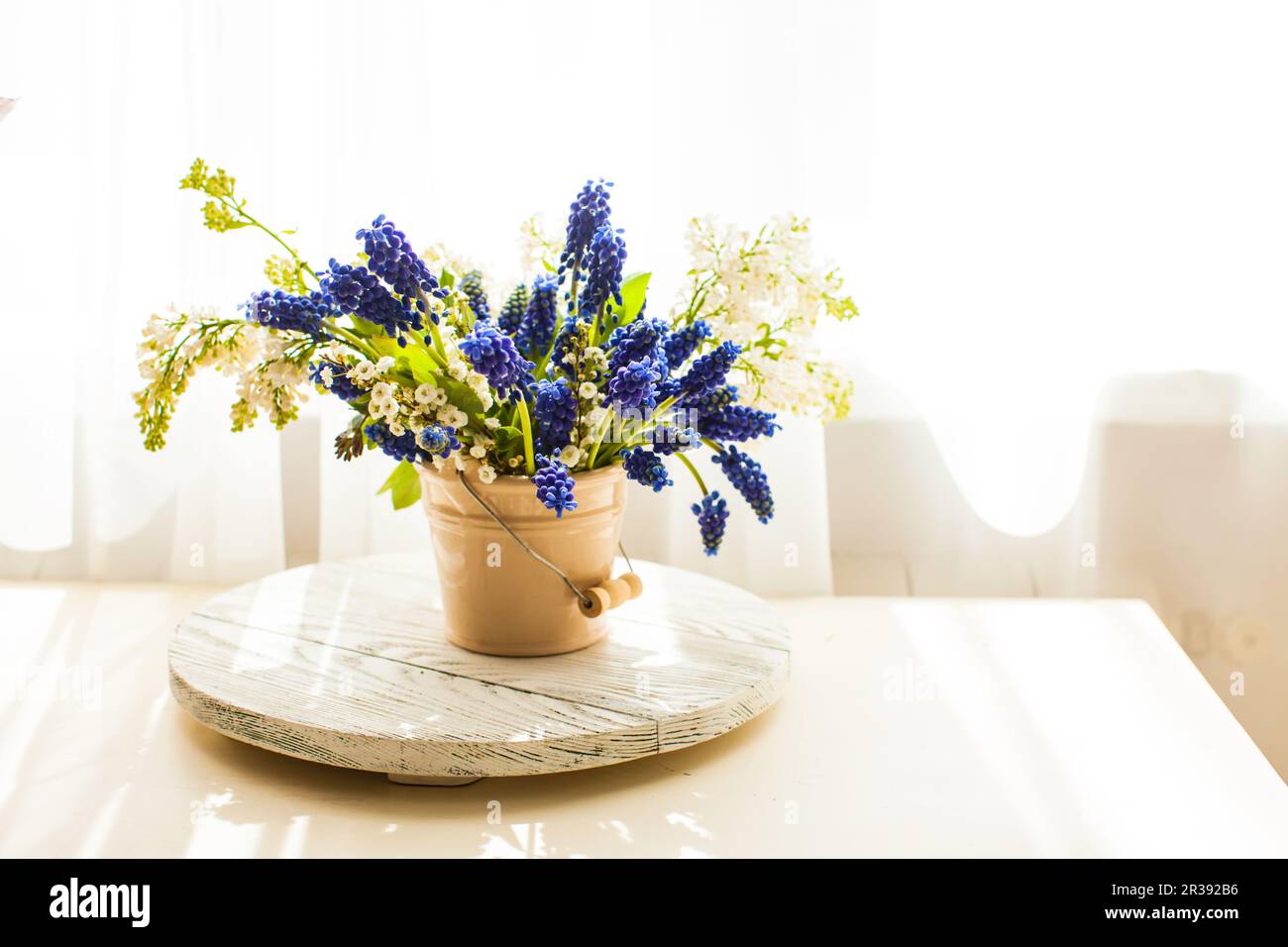 Mazzo di giacinti d'uva in vaso di ceramica Foto Stock