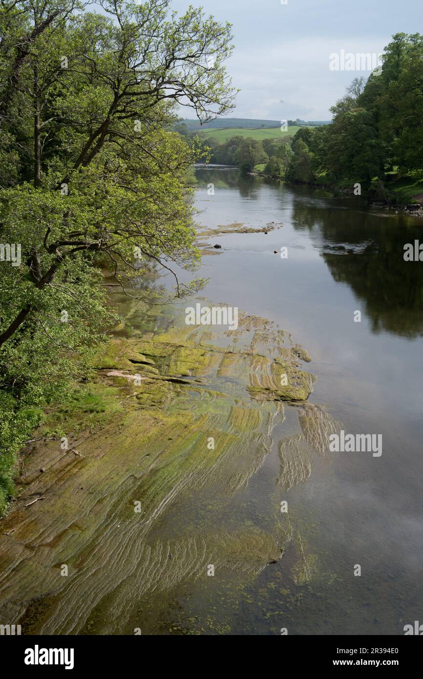 Acqua bassa nel fiume Eden ad Armathwaite in Cumbria, Inghilterra. Foto Stock