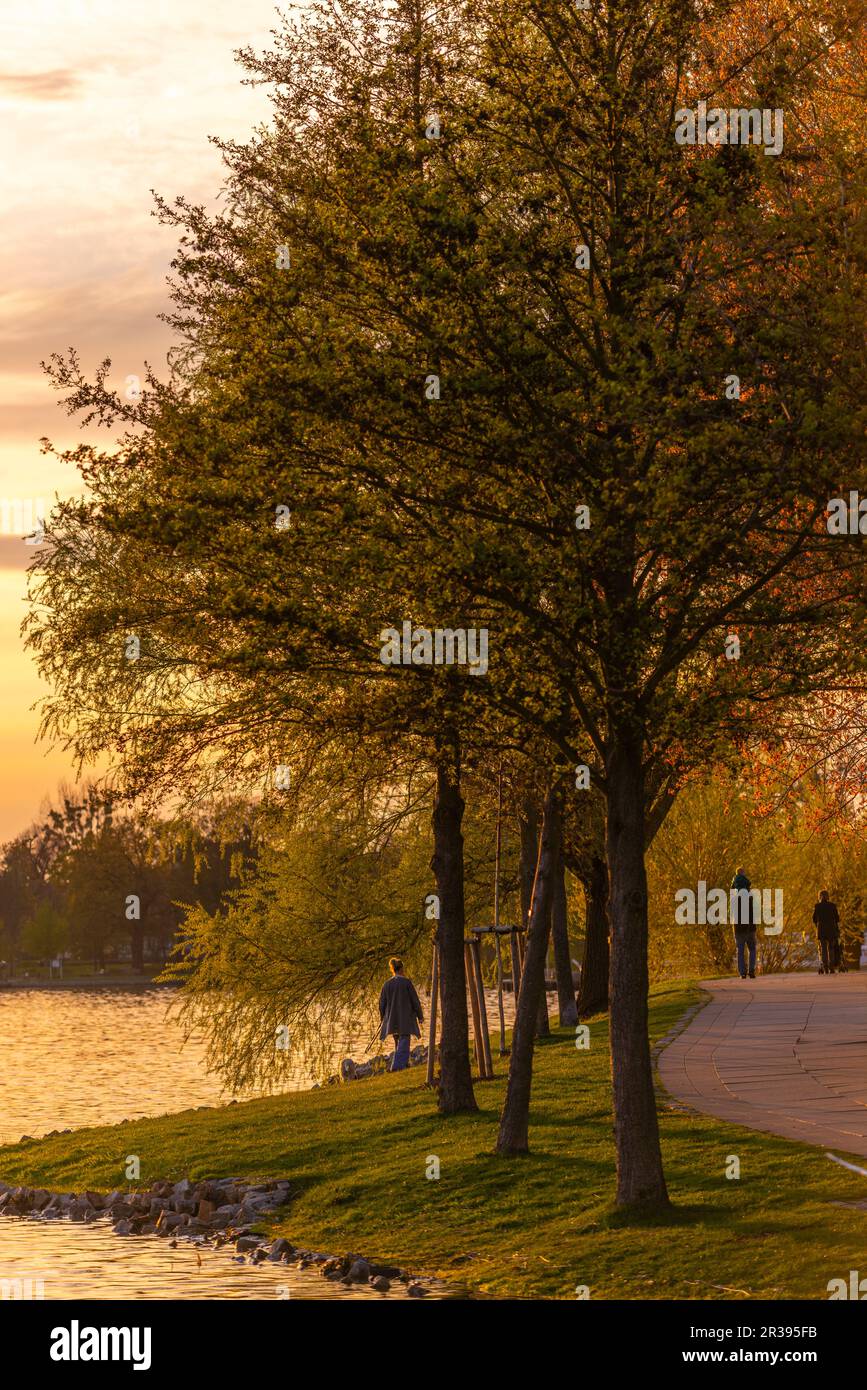 Luce notturna, Waren Mueritz, Mecklemburgische Seenplatte, Mecklenburg Lake District, Mecklenburg-Pomerania Occidentale, Germania orientale Foto Stock