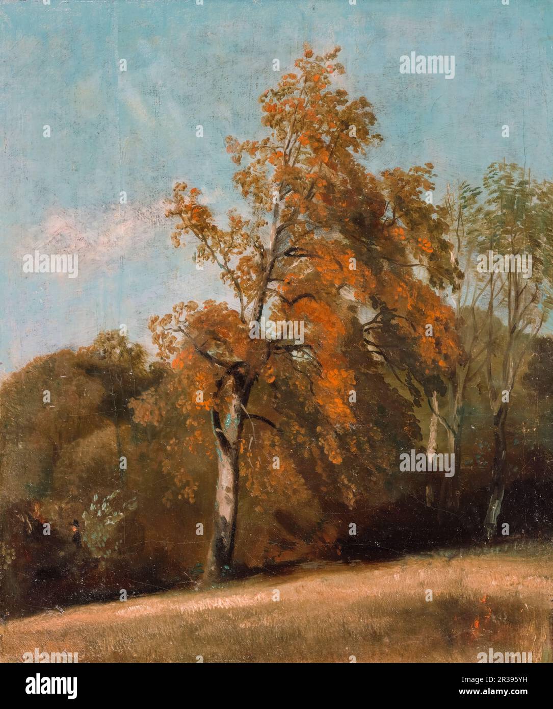 John Constable, Studio di un albero di cenere, pittura di paesaggio 1801-1803 Foto Stock