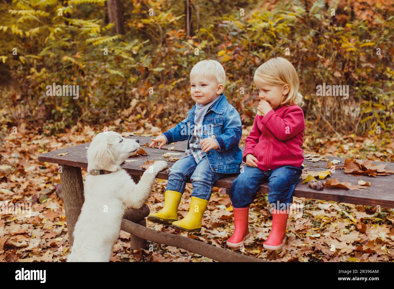 Neonati e doggy in autunno park Foto Stock