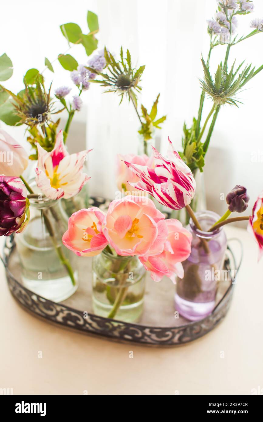 Tulipani in vasetti di vetro su un vassoio in camera bianca Foto Stock