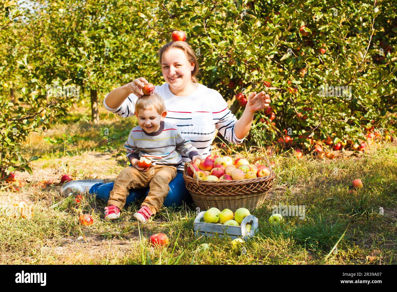 La famiglia felice la raccolta di mele in una fattoria. Foto Stock