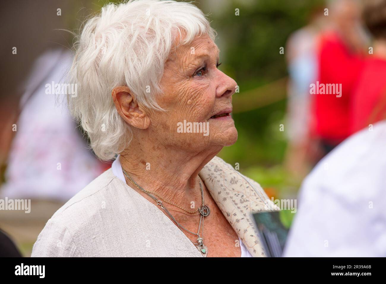 Londra, Regno Unito. 22nd maggio, 2023. Dame Judi Dench partecipa al RHS Chelsea Flower Show 2023. Credit: David Betteridge/Alamy Live News Foto Stock