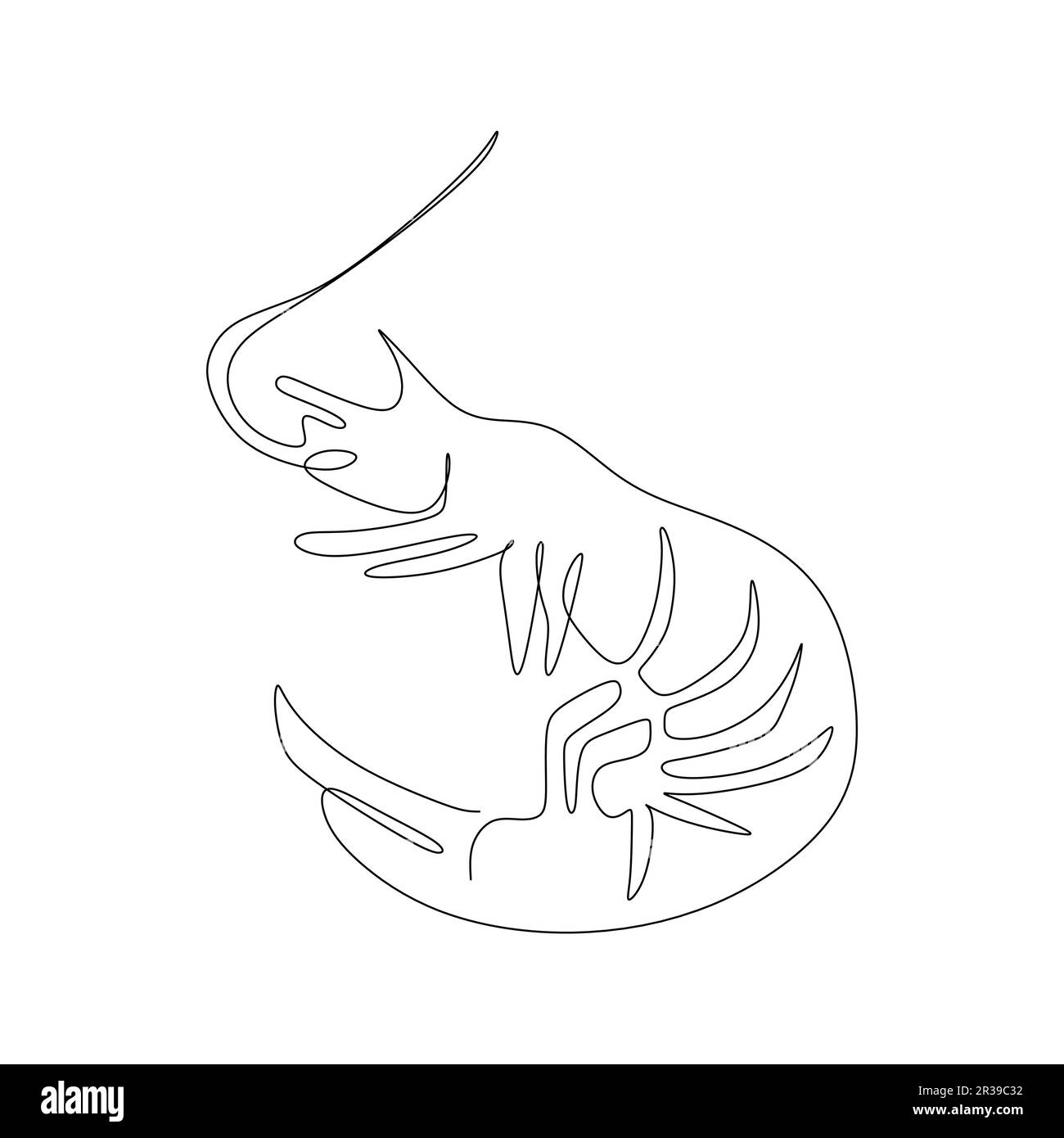 disegno a linea continua di gamberetti. Illustrazione vettoriale su sfondo bianco. Illustrazione Vettoriale