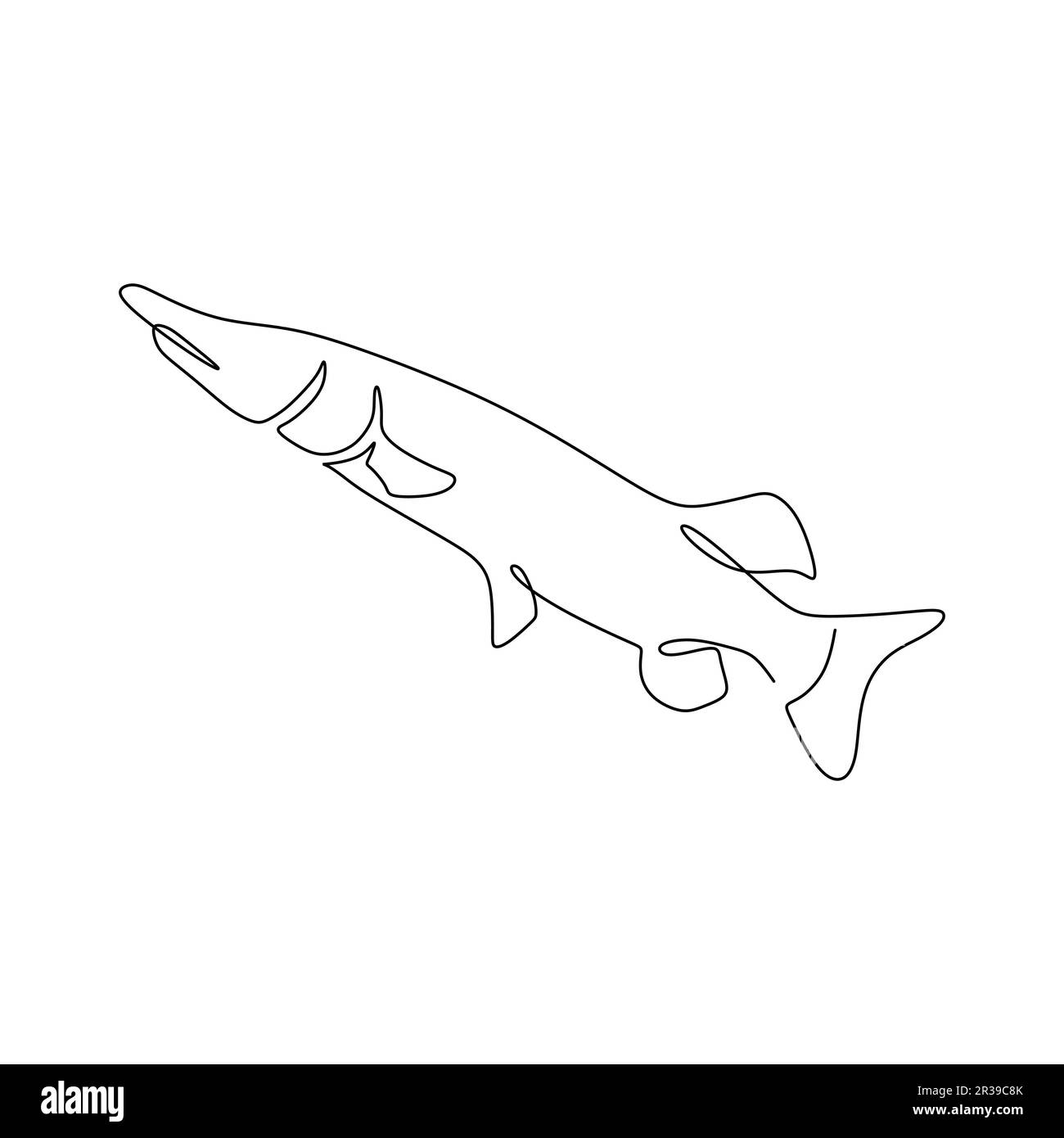 Disegno a linea continua di un pesce Muskellunge su sfondo bianco. Illustrazione vettoriale Illustrazione Vettoriale