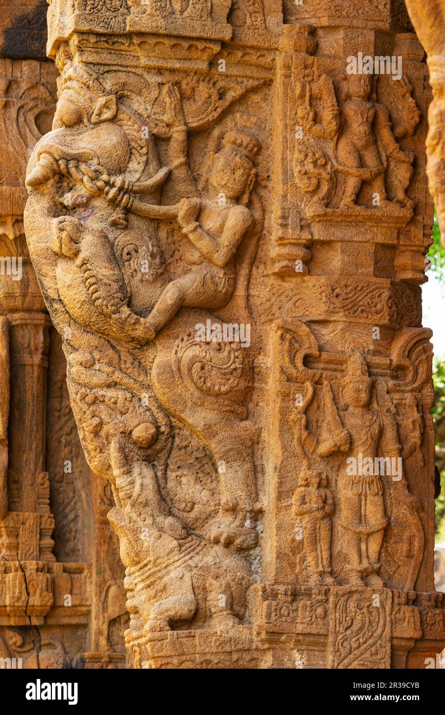 Colonne scolpite di Mandapa nel Forte di Siddhavatam, costruito nel 1303 CE sotto il re Varadha Raju, le rive del fiume Pennar, Kadapa, Andhra Pradesh, Foto Stock