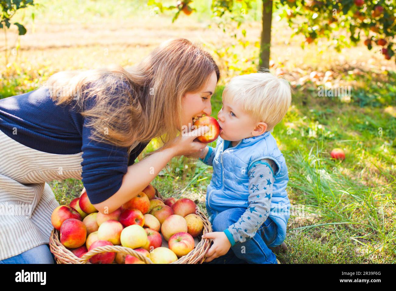 Carino il bambino e la madre di mangiare apple nel giardino. La famiglia felice la raccolta di mele in un agriturismo Foto Stock
