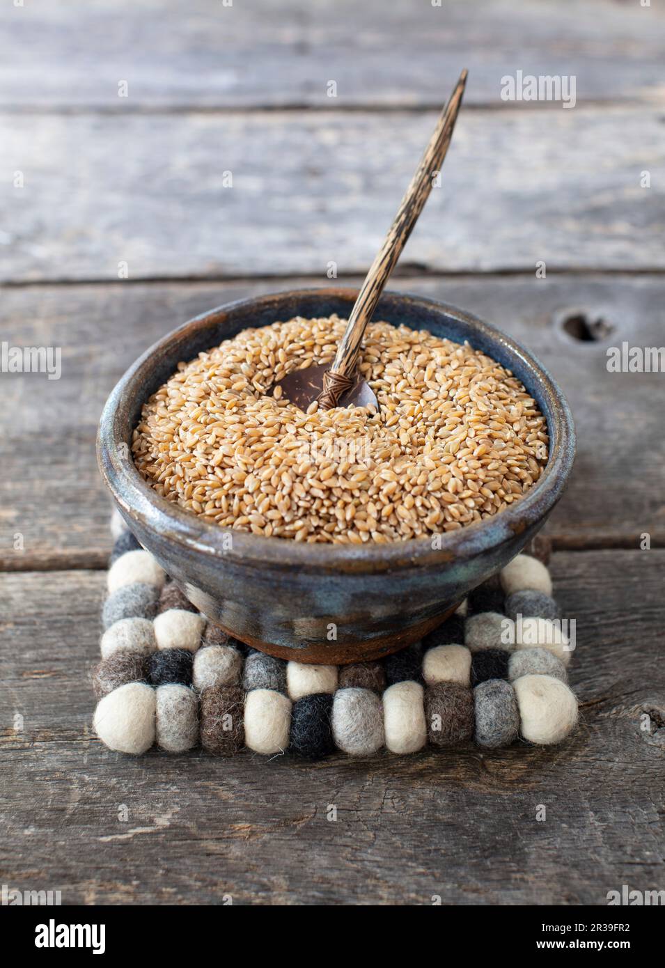 Grano di einkorn Foto Stock