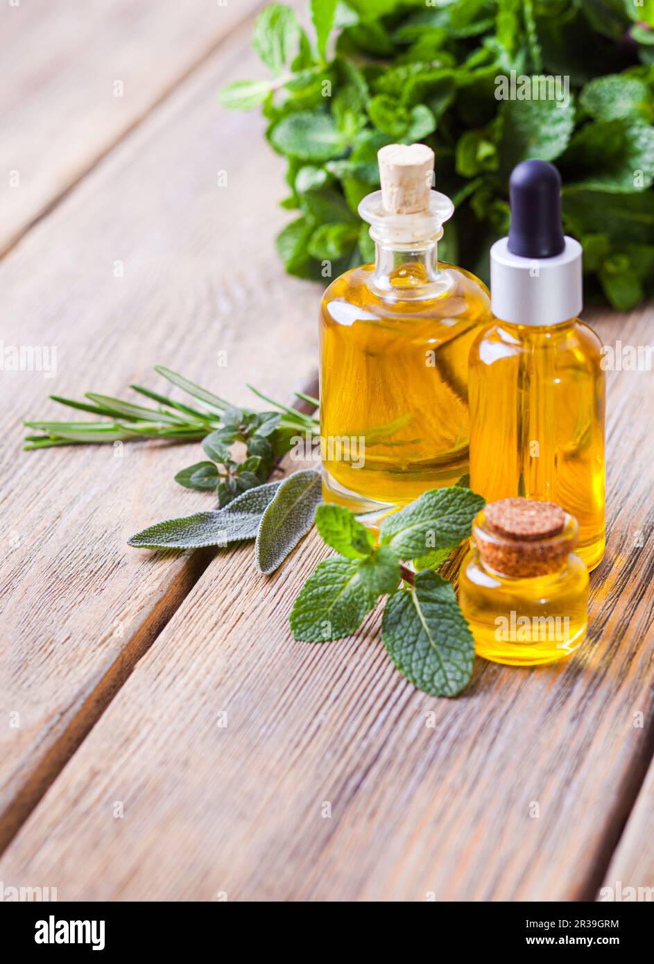 Wellness elisir in forma di olio essenziale di menta Foto Stock