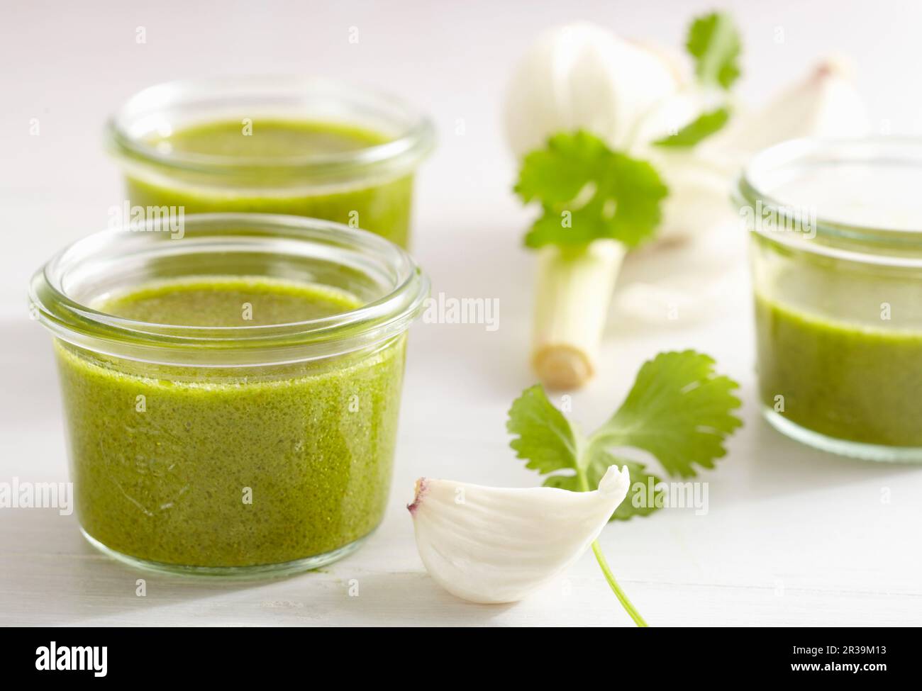 Mojo de cilantro (salsa di coriandolo freddo con aglio, Isole Canarie) Foto Stock