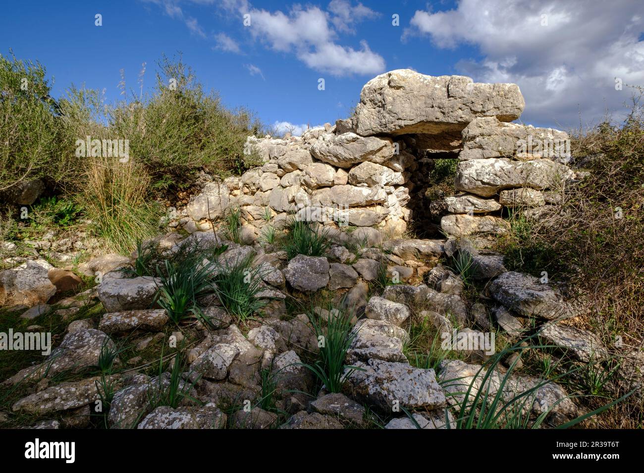 Talaiot, Son Ferrandell-Son Oleza, i milenio a C., Valldemossa, Mallorca, Isole Baleari, spagna. Foto Stock