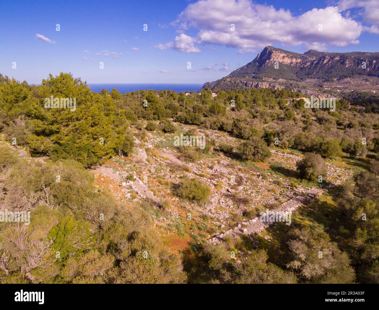 Son Ferrandell-Son Oleza, i milenio a C., Valldemossa, Mallorca, Isole Baleari, spagna. Foto Stock
