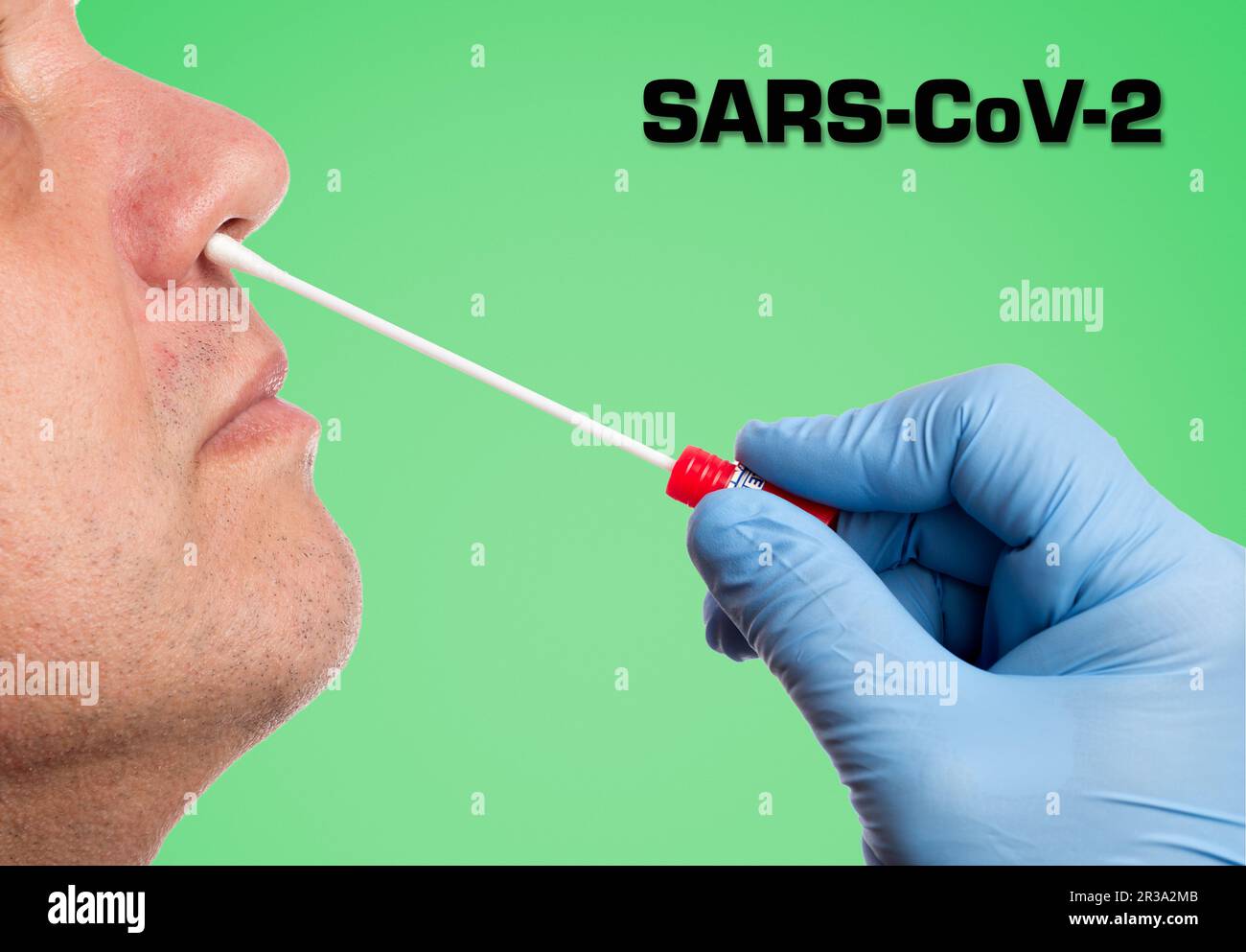 Il medico effettua un test con tampone nasale Foto Stock