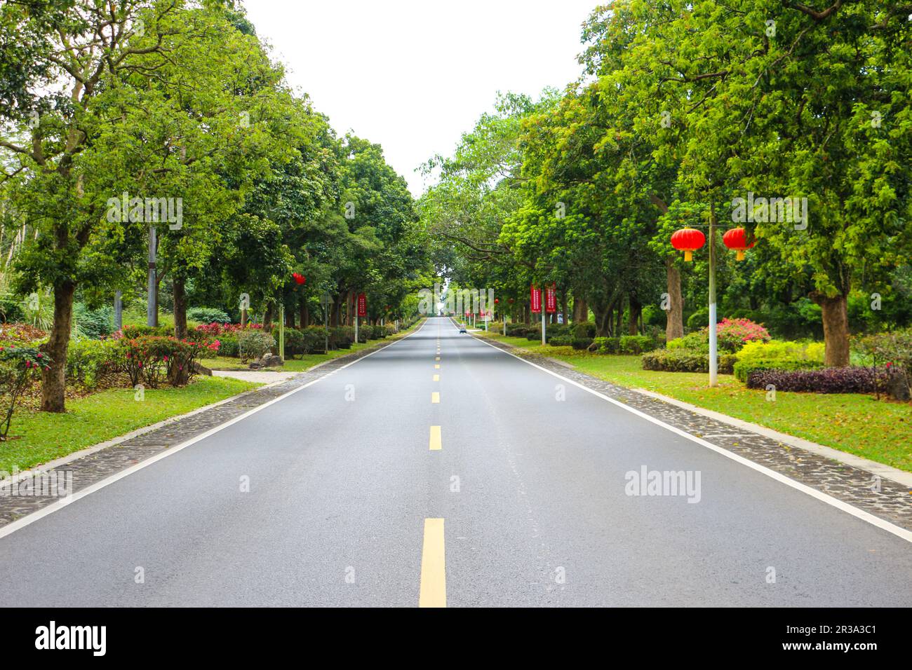 Alberi che coprono la strada in Hainan Foto Stock