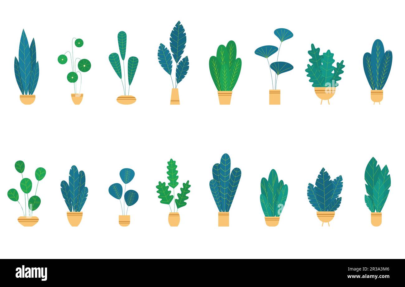 Piantine e fiori di casa in vasi di ceramica. Piante e foglie di casa stile piatto su sfondo bianco. Stile Hygge. Elementi botanici vettoriali alla moda. Illustrazione Vettoriale