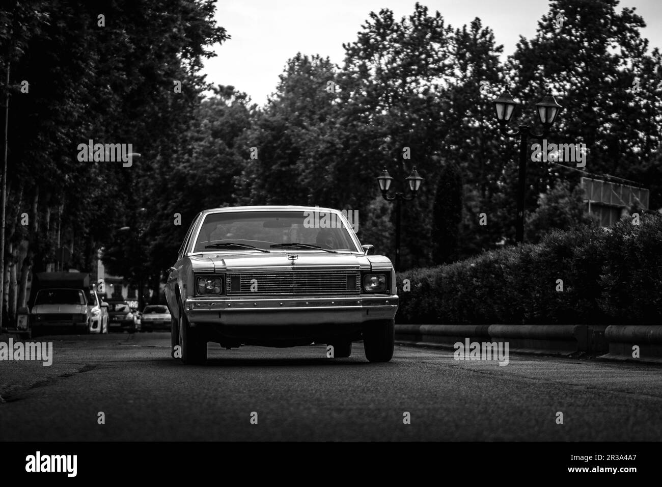 profilo frontale di una classica chevrolet nova Foto Stock