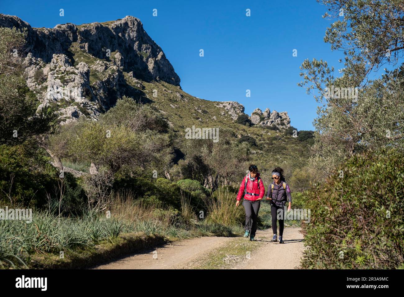 Due escursionisti che camminano lungo il sentiero dell'Assarell, Pollensa, Mallorca, Isole Baleari, Spagna. Foto Stock