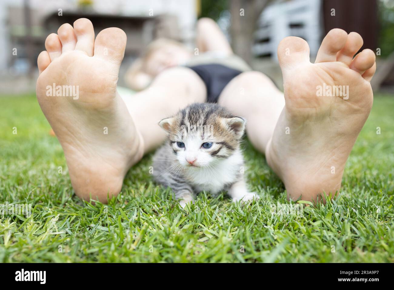 il piccolo gattino carino si siede tra i piedi nudi del bambino sul prato in una calda giornata estiva. Divertente foto di amicizia tra un bambino e un animale domestico. Bambino felice Foto Stock
