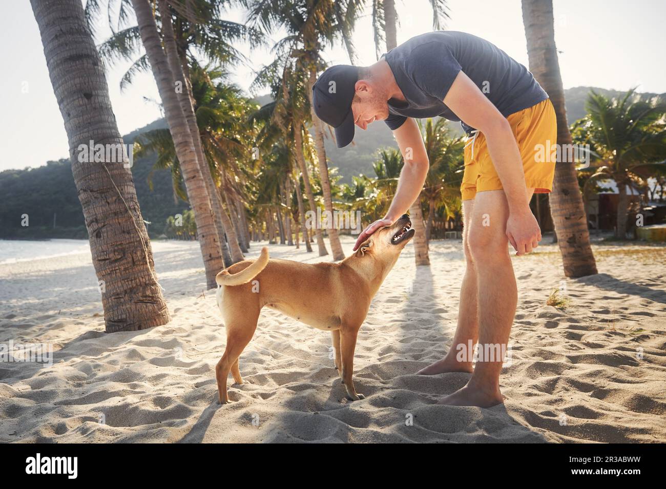 Uomo sorridente in pantaloncini che accarezzano un cane carino sotto le palme su una spiaggia di sabbia idilliaca. Foto Stock