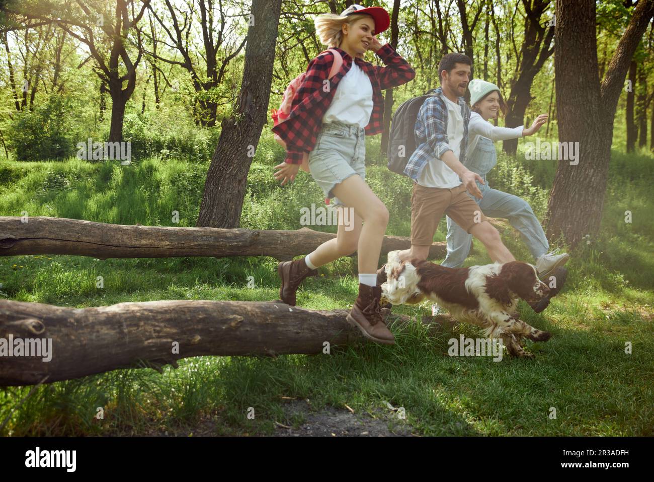 Gruppo di giovani, amici che camminano nella foresta, fare escursioni nella calda giornata di sole, saltare sopra il grande albero Foto Stock